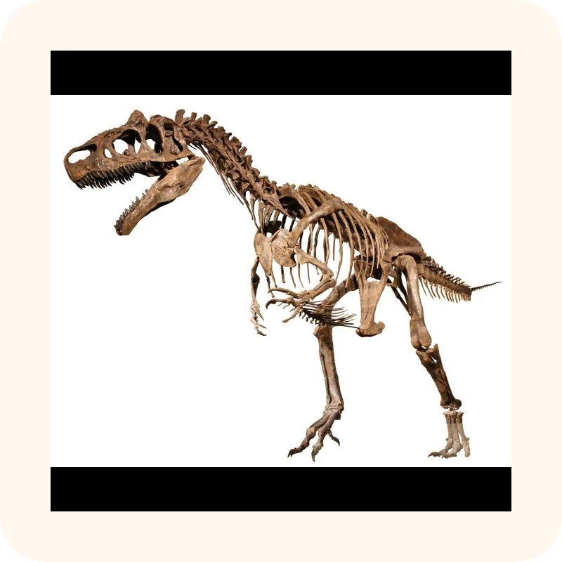 allosaurus