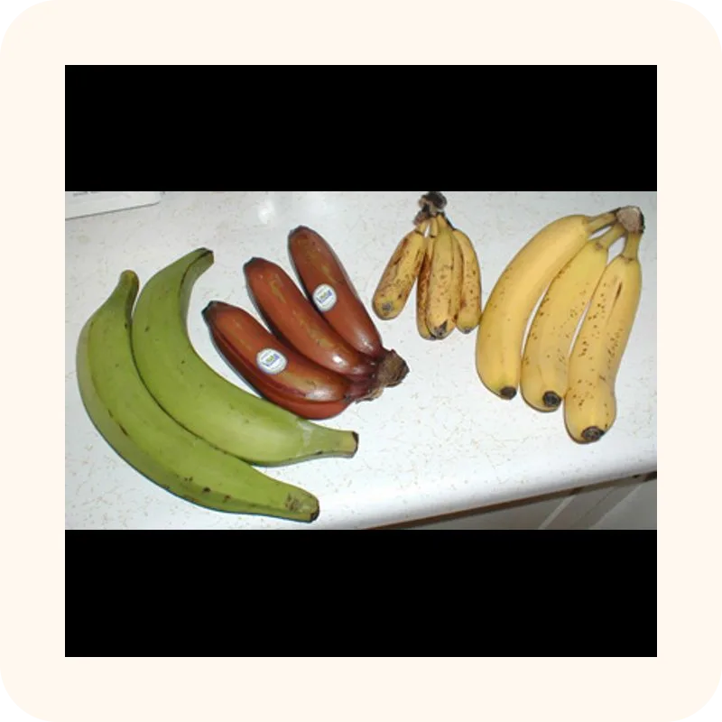 banana