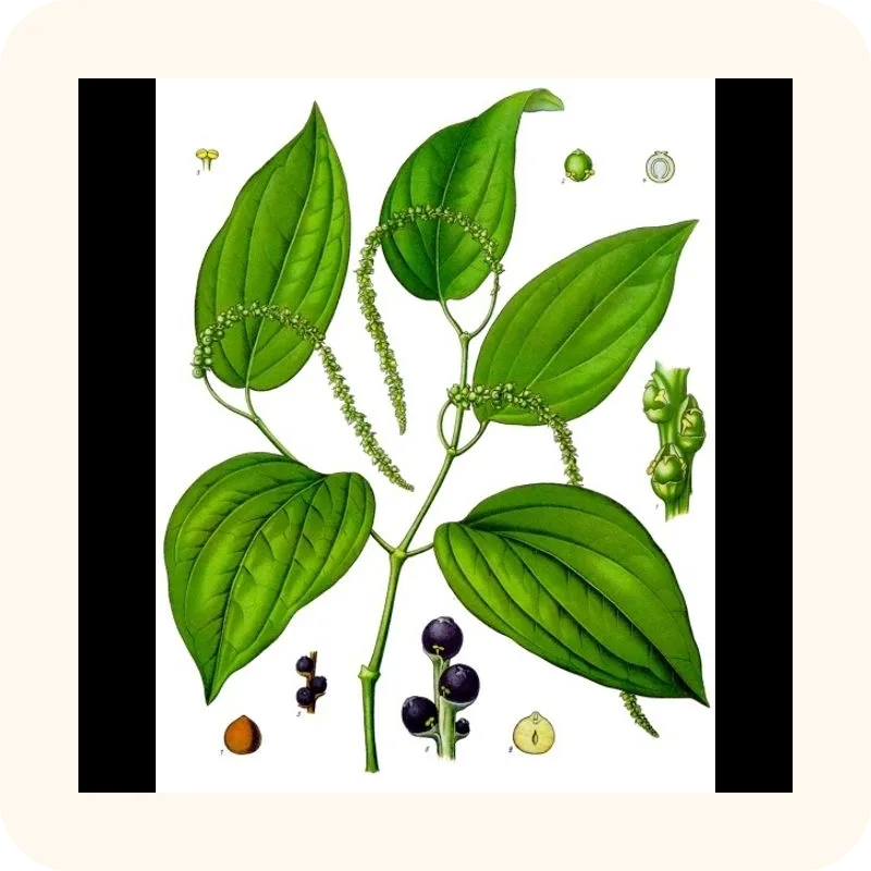 black pepper