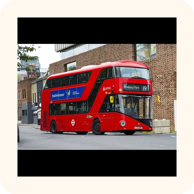 bus