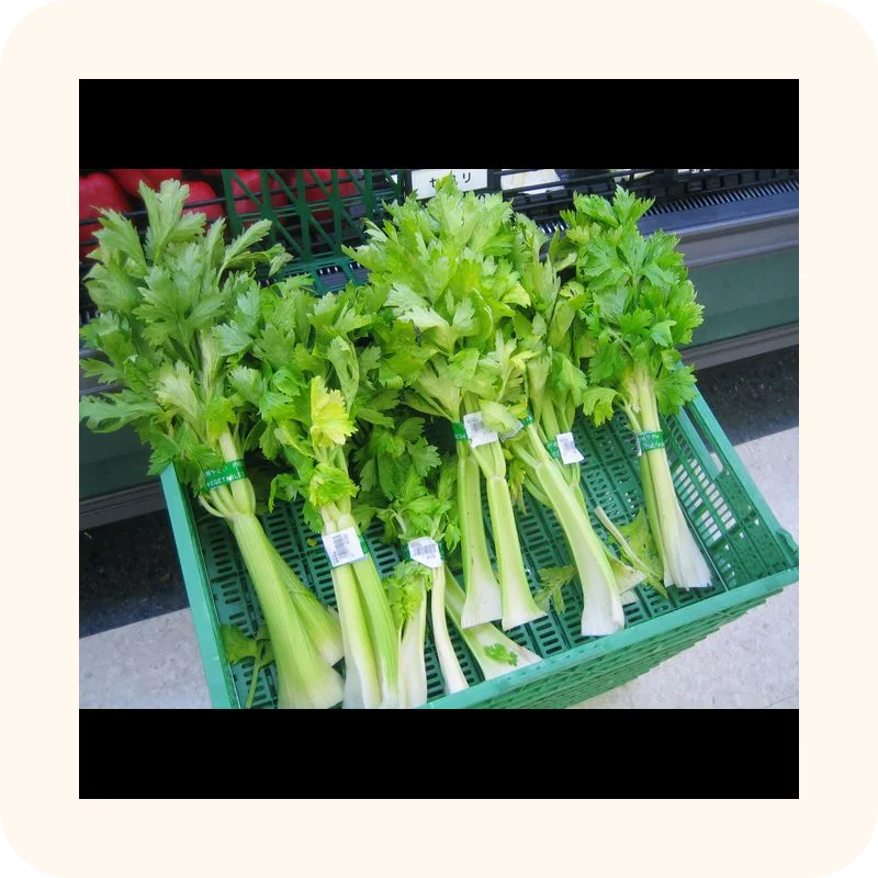 celery