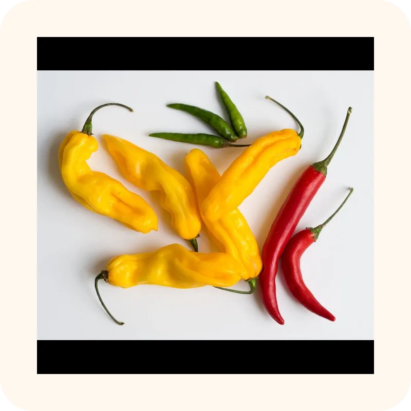 chili pepper