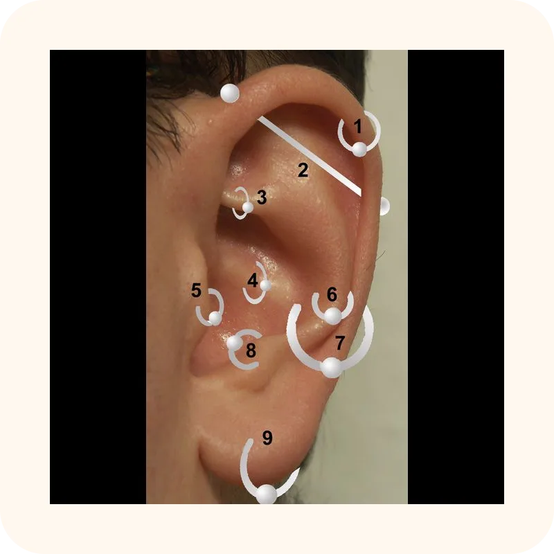 earrings