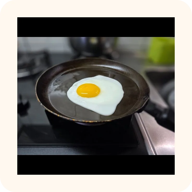 egg
