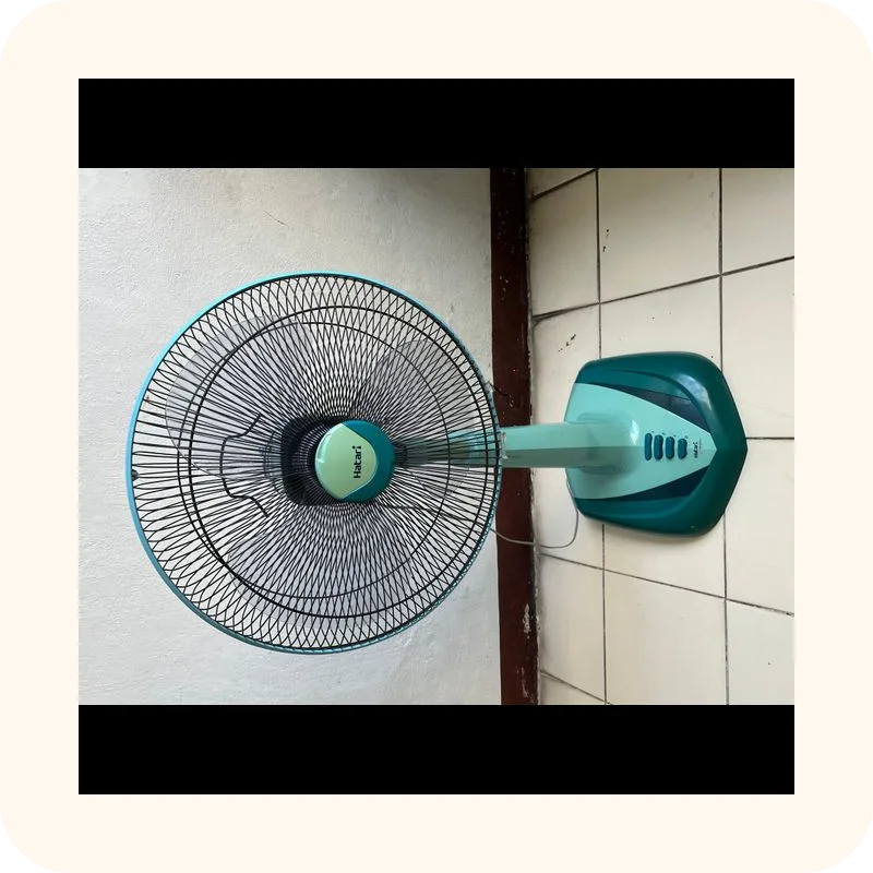 fan