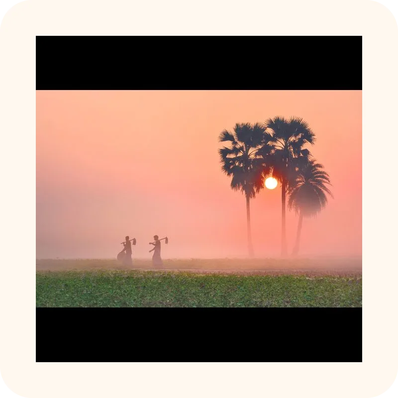 fog