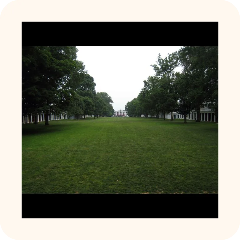 grass