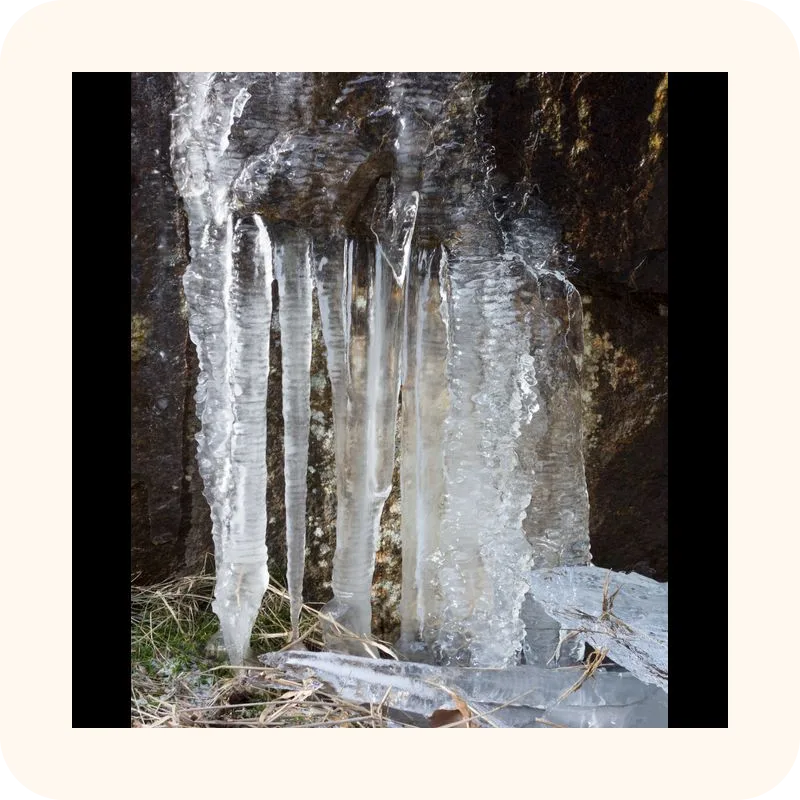 icicle