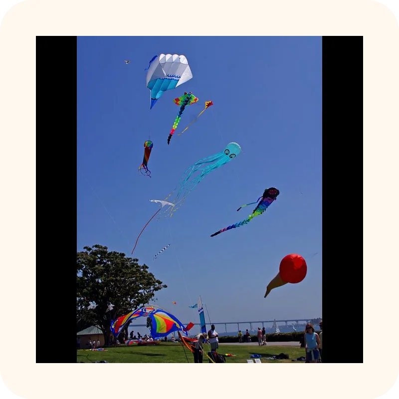 kite