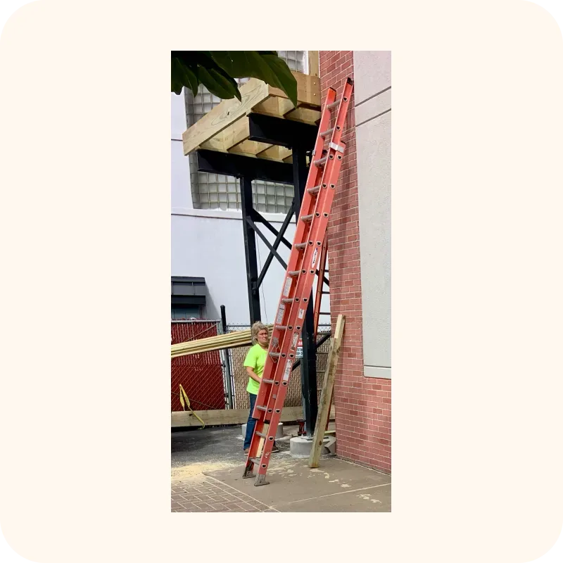 ladder