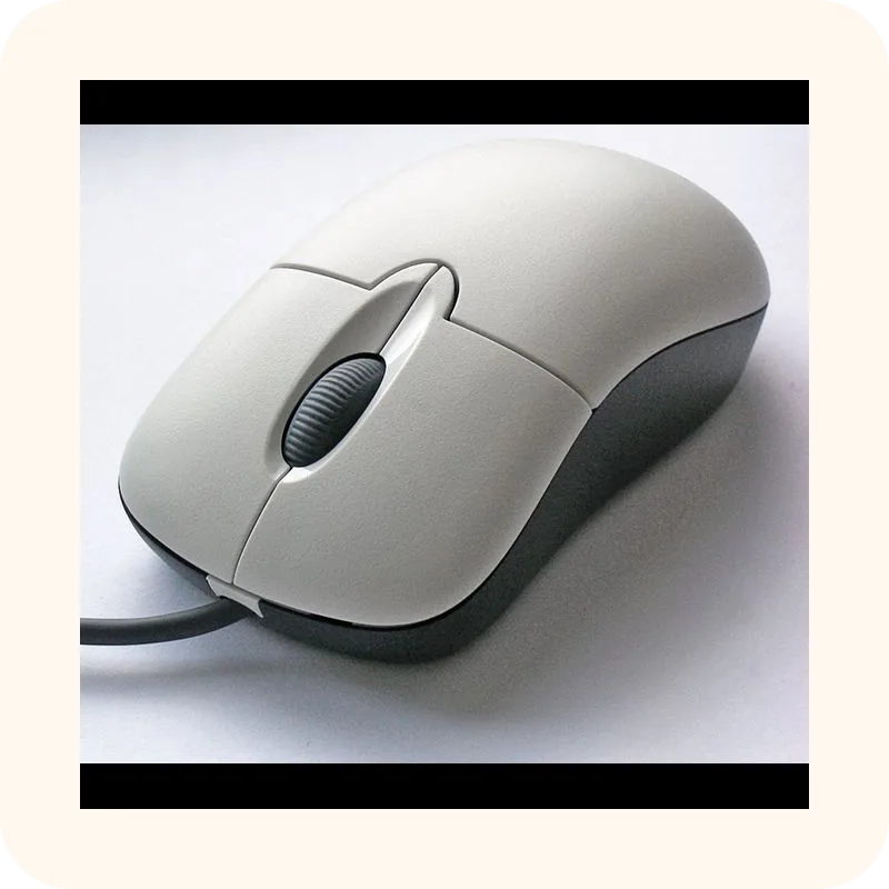 mouse