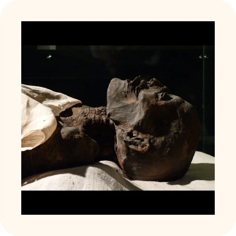 mummy