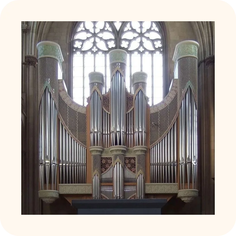 organ