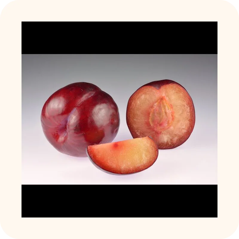 plum