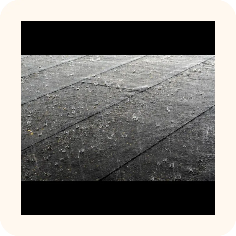 rain