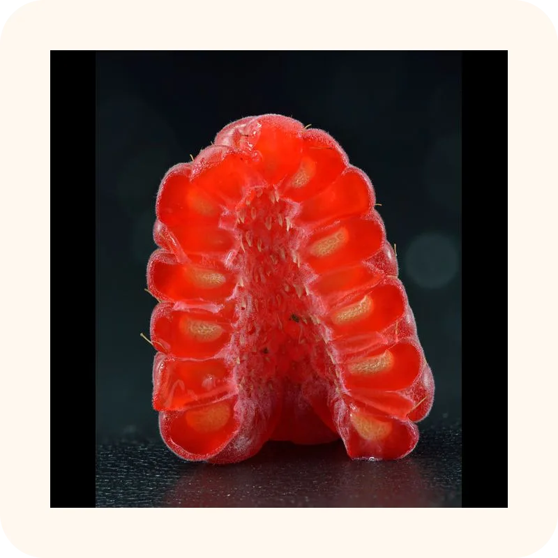 raspberry