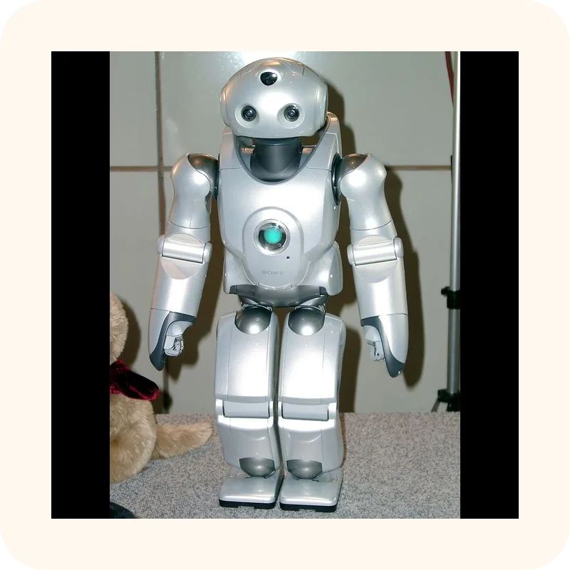 robot