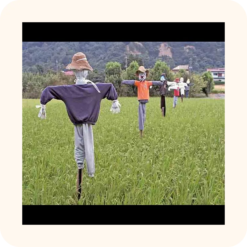 scarecrow