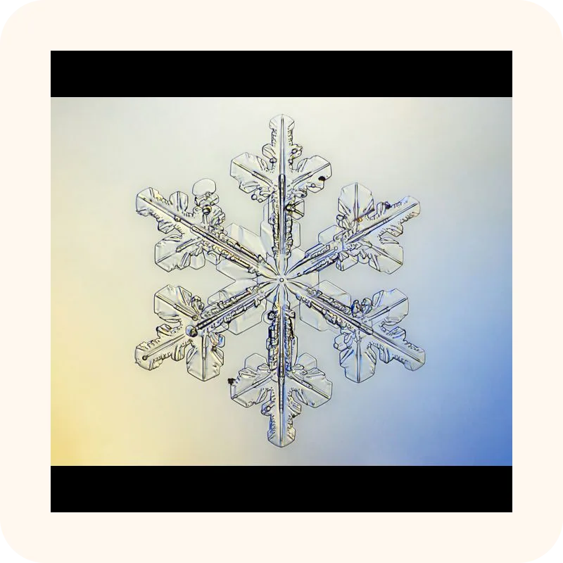 snowflake