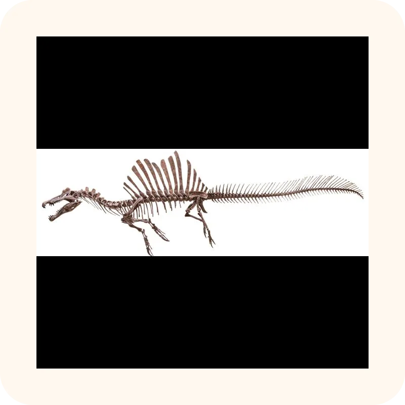 spinosaurus