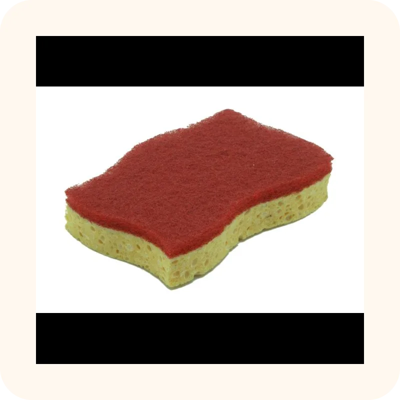 sponge