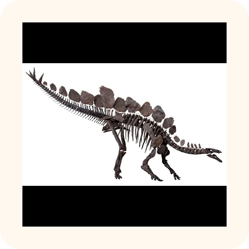 stegosaurus