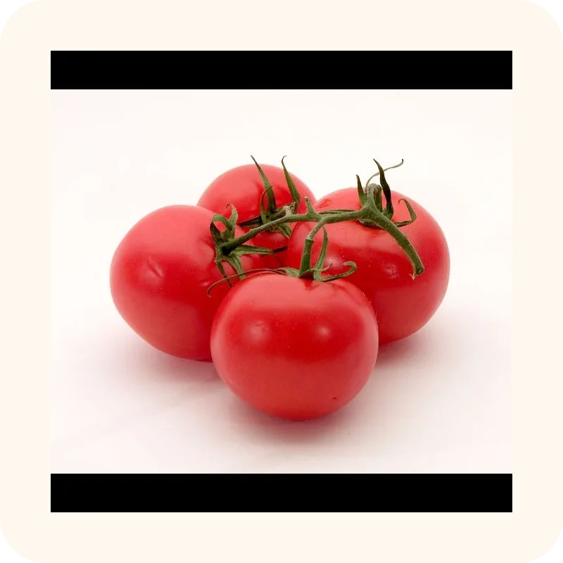 tomato