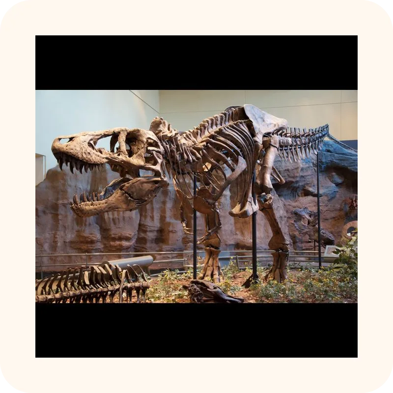 T-rex